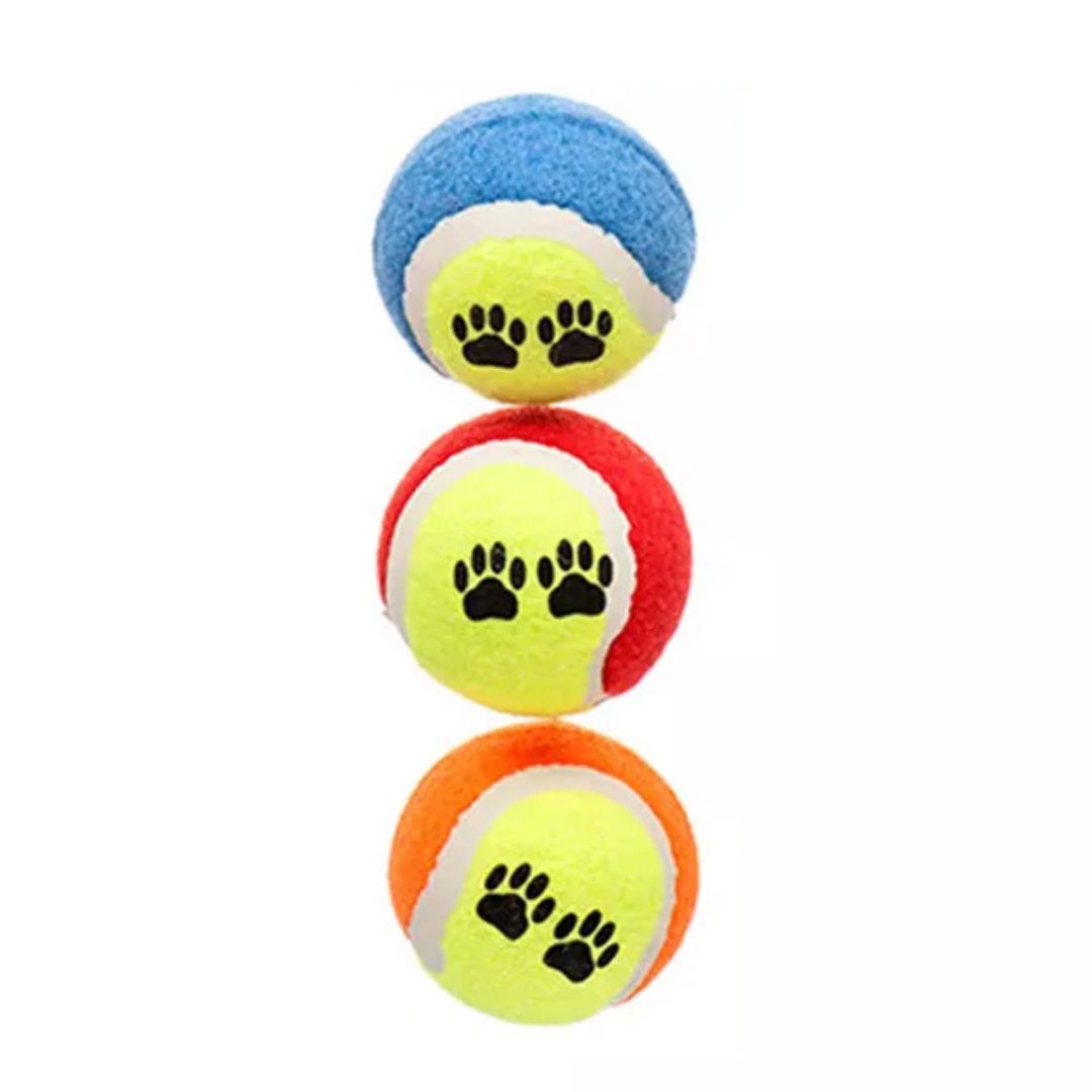 Pelota de tenis de entrenamiento para perros