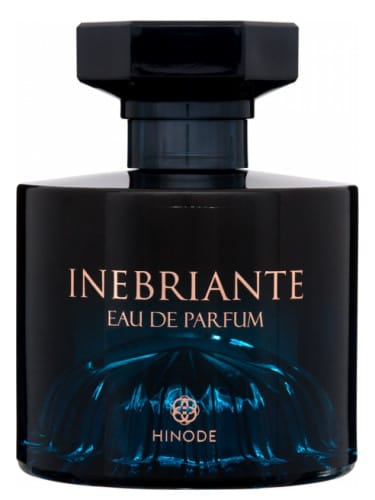 Perfume masculino Inebriante Hnd 100ml
