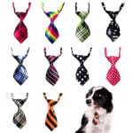 Una Corbata Moderna y Sostificada Para Perros De Raza Pequeña