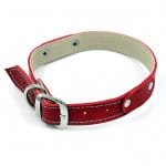 Collar de cuero para perro hebilla ajustable