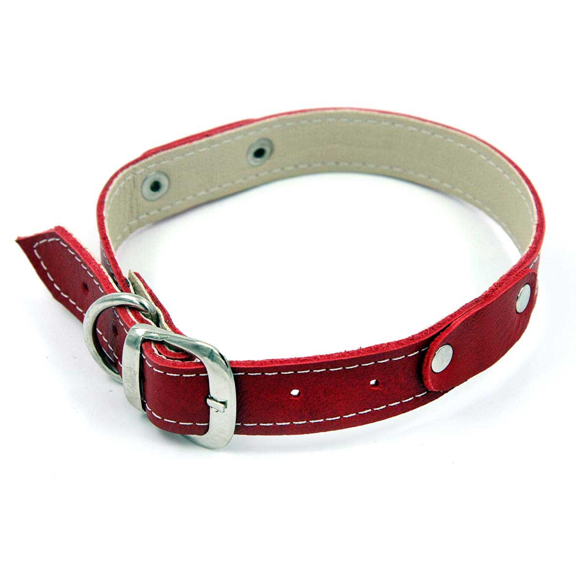 Collar de cuero para perro hebilla ajustable