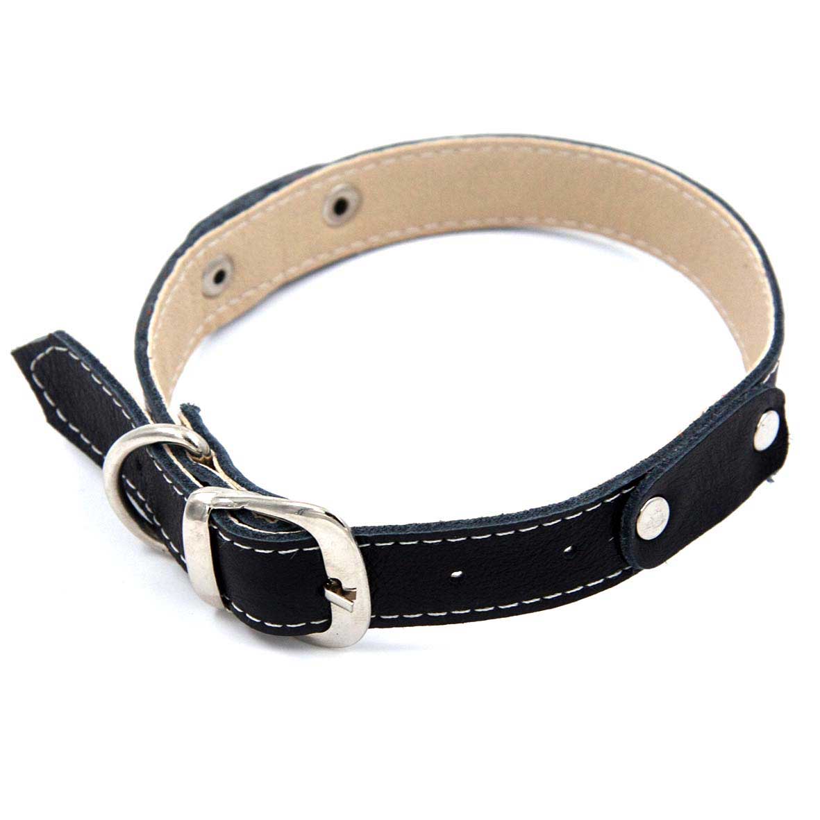 Collar de cuero para perro hebilla ajustable