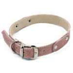 Collar de cuero para perro hebilla ajustable