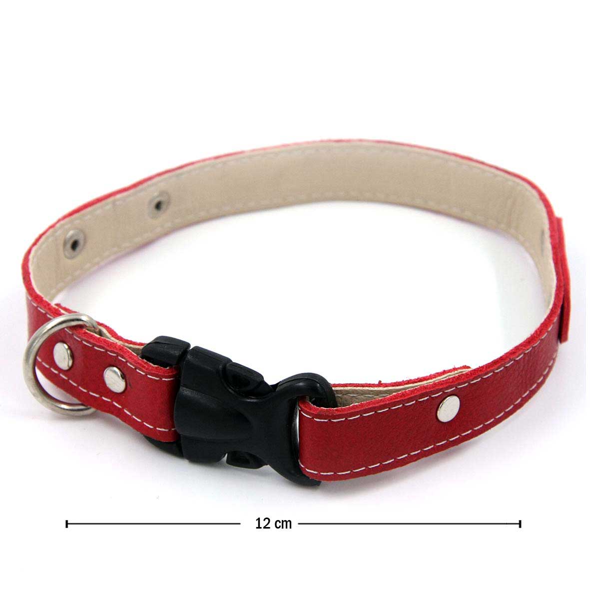 Collar en Cuerina para Mascotas de Raza Mediana o Pequeña