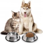 Plato Comedero Metálico De 22 cm Antideslizante Para Gatos y Perro
